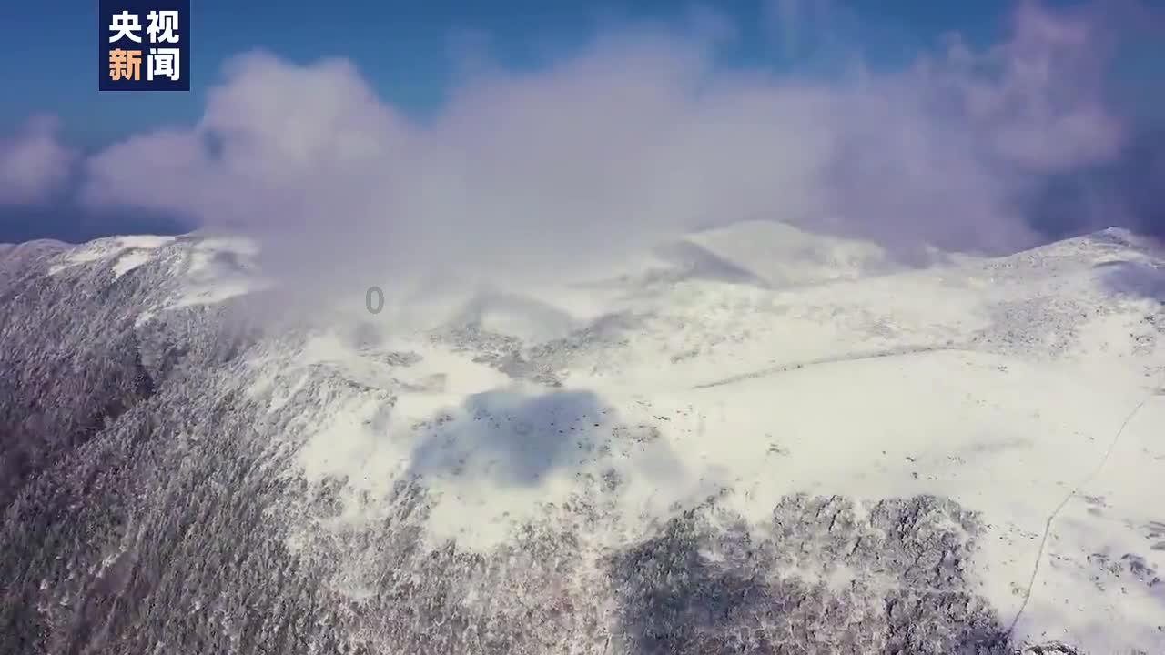山体滑坡的产生原因游戏画面