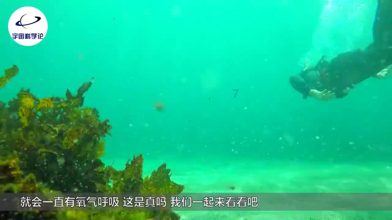预防医学事业编考什么?学长告诉你