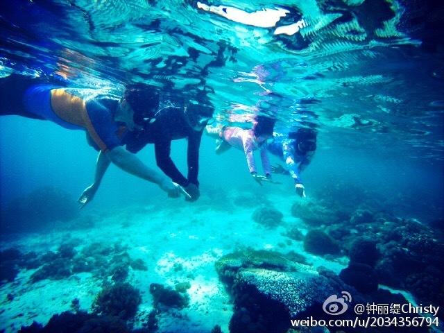 饥饿的松鼠救援